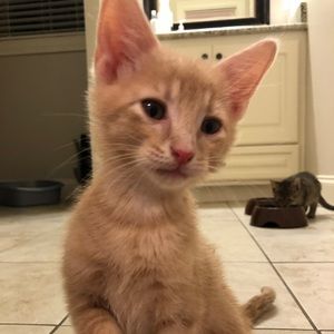 Meet your Posher, Beth